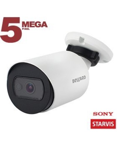 SV3210RC (3.6 мм). Видеокамера IP цилиндрическая. Beward в Новомосковске