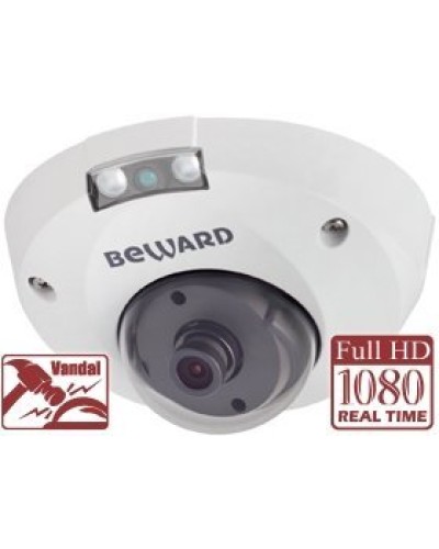 NK55630D8. IP-камера купольная. Beward в Новомосковске