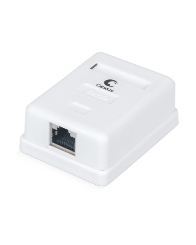 WS-8P8C-Cat.5e-SH-1 (7485c): Розетка RJ-45 в Новомосковске