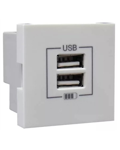 Розетка USB двойная, зарядная, белая (45439 SBR): Розетка USB двойная в Новомосковске