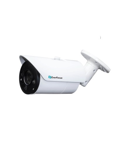 EZN-268V. Видеокамера IP купольная. EverFocus в Новомосковске