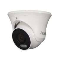 FE-IPC-D2-30p. Видеокамера IP купольная. Falcon EYE