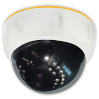 GF-IPVIR4306MP2.0-VF v2. Видеокамера IP купольная. Giraffe