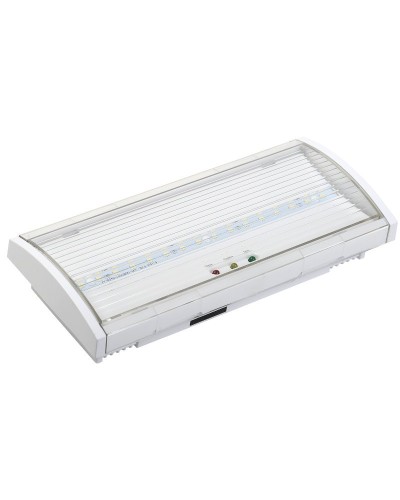 Светильник аварийный ДПА 5043-3 10-24/220В 3ч IP54 LIGHTING (LDPA1-5040-3-54-K01). Светильник аварийный постоянного действия. IEK в Новомосковске