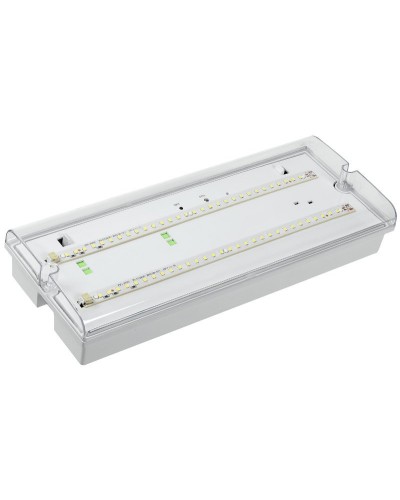 Светильник аварийный ДПА 5042-3 3ч IP65 LIGHTING (LDPA0-5042-3-65-K01). Светильник аварийный универсальный. IEK в Новомосковске