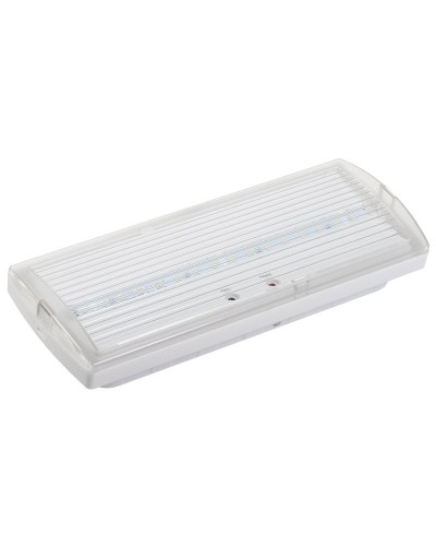 Светильник аварийный ДПА 5030-3 3ч IP20 LIGHTING (LDPA0-5030-3H-K01). Светильник аварийный постоянного действия. IEK в Новомосковске