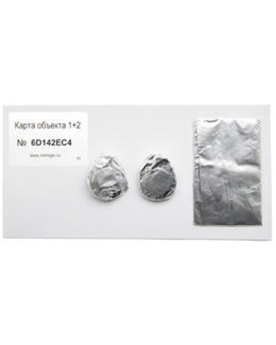 Карта объекта 1+2. Проксимити карта. IronLogic в Новомосковске