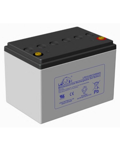 LEOCH LPG 12-60. Аккумулятор герметичный свинцово-кислотный. LEOCH в Новомосковске