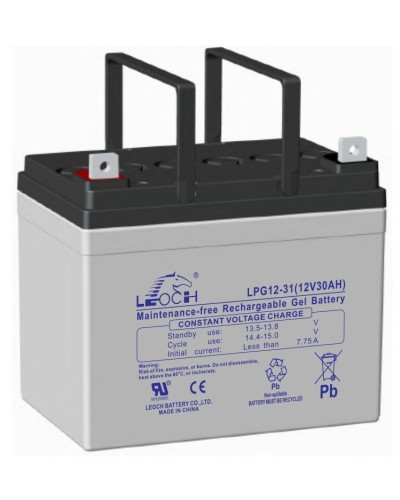 LEOCH LPG 12-31. Аккумулятор герметичный свинцово-кислотный. LEOCH в Новомосковске