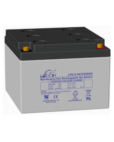 LEOCH LPG 12-24. Аккумулятор герметичный свинцово-кислотный. LEOCH в Новомосковске