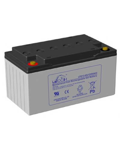 LEOCH LPG 12-65. Аккумулятор герметичный свинцово-кислотный. LEOCH в Новомосковске