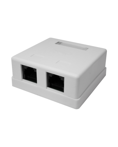 Розетка настенная RJ-45, 8P8C, Cat.5e, 2 порта UTP (10-0309): Компьютерная розетка в Новомосковске