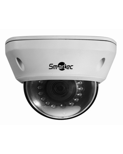 STC-IPM5591/1. Видеокамера IP купольная. Smartec в Новомосковске
