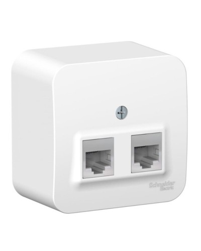 BLANCA розетка RJ11+RJ45, 2-местная, кат. 5Е, открытой установки, белый (BLNIA045111). Розетка компьютерная + телефонная с изолированной пластиной. Systeme Electric в Новомосковске