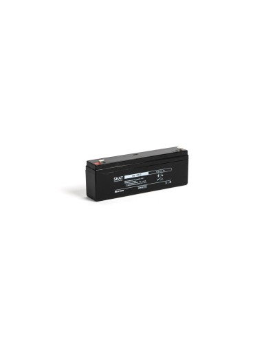 SKAT SB 12022 (2539). Аккумулятор герметичный свинцово-кислотный. Бастион в Новомосковске