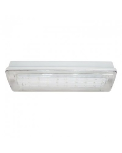 SL-223-30LED1.8 исп. 1, IP65. Светильник аварийного освещения. ИП Раченков А.В. в Новомосковске