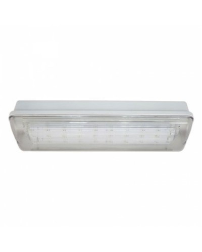SL-213-30LED1.8 исп.1 IP54. Светильник аварийного освещения. ИП Раченков А.В. в Новомосковске